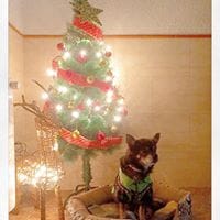 Rosa Ingelmo de Miguel