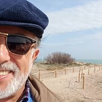 Luis Carrascosa Martínez