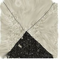 Bernat Pamies Rovira