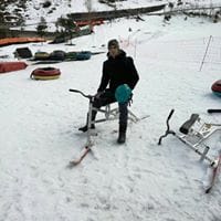 Mihai Alex