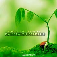 Amilcar Diaz