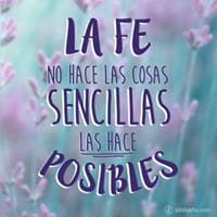 Carlos Vilches