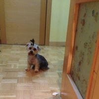 Jose Antonio Alonso Jardon