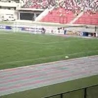 Domingo Alesi