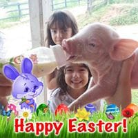 Wilmar  Arango Jaramillo