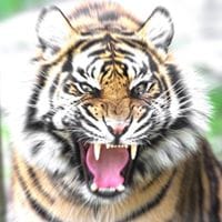 Caarsson Hernandez Granados