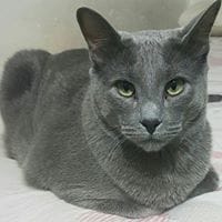 Isaac Landeros Valenzuela