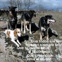 Encar Diaz Gonzalez