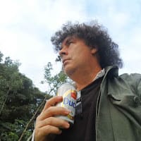 Belisario suarez vargas