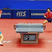 Tenis de Mesa Purranque