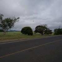 juan manuel Lomeli