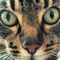 Ignacia Sánchez Exposito