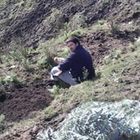 Diego Burgueño Hayrabedian