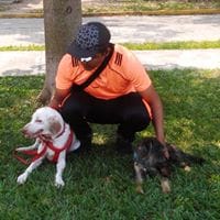 Ruben Alejandro Cuevas M
