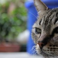 Edwin Diaz Maldonado