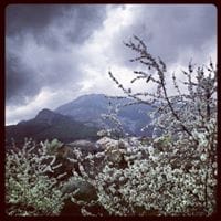 Cristina Bernal Cacho