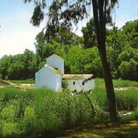 Eduardo Gutierrez Benitez