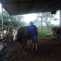 Edgar Mendez