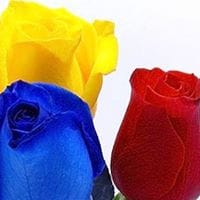 Marie Claire Datchary Castillo