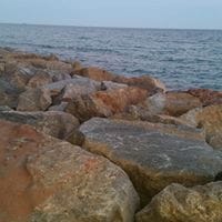 Salvador Bretones Dominguez
