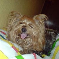 Maria Isabel Lamas Gomez