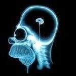 Jose Luis Muñoz Hortelano