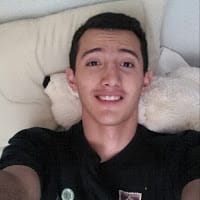 Fernando Vega Riveros