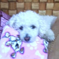 Naxhieeli Toledo García