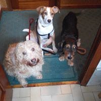 Gonzalo  Quian Alvarez