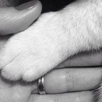 Rosario Solís Alises