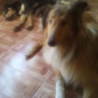 Carlos Casas Huamán