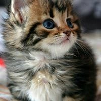 Flor Edith Jimenez Molina