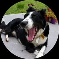 Nacho Campana