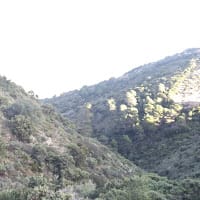 Jose Rt