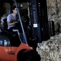 Maria Rosa  Garcia Torres