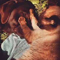 María Celeste Moreno