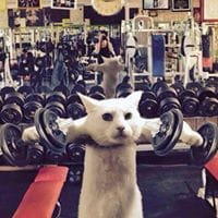 Miguel Domenge Jaume