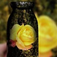 Mari Cruz Polo Perez de Onraita