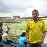 luis javier fernandez