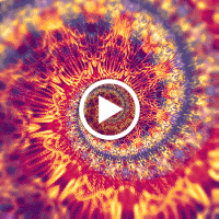 Juan Jose Henao Flores