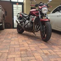 ferney sol500