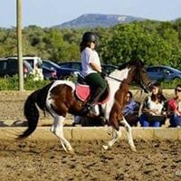 Jose Maria Zamora Robles