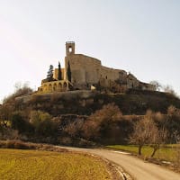 Raúl G.