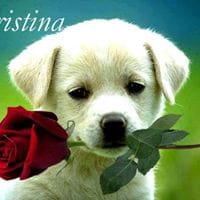 Cristina Nelson Y Peke