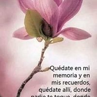 Roxi Mayte Astudillo