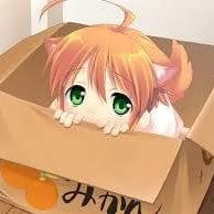 Nicolas Kawaii