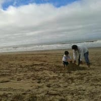 Brenda Rosset