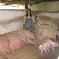 Yormary Corredor Pacheco