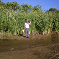 Moises C Ogarrio