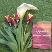 M Carmen Espinosa Domenech